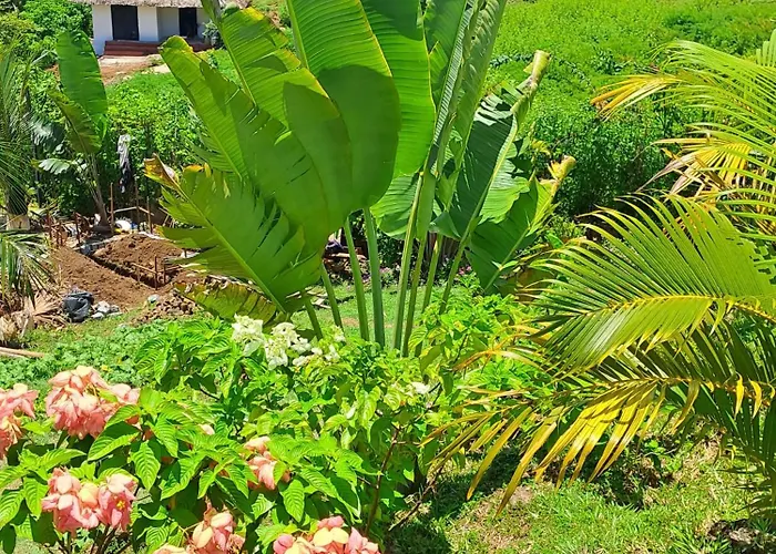 Mango Eden Hotel