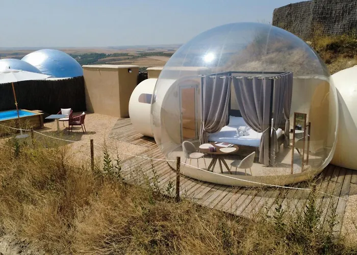 Wine Bubble