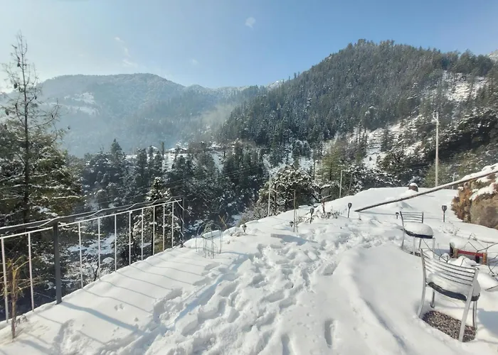 Vikas Hotel And Restaurant