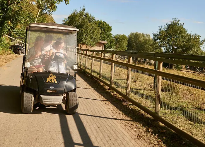 Tiger Lodge - At Port Lympne Hotel & Reserve