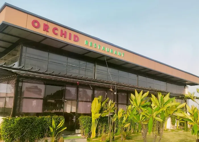 Orchid Resort