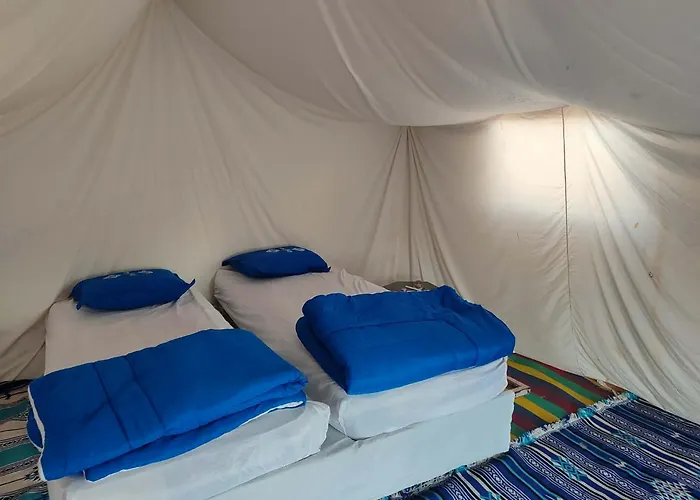 Campement Sahara Oasis Douz