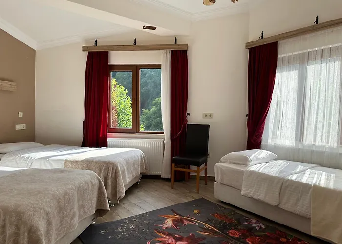 Mersu Ala Konak Otel Masukiye Sapanca