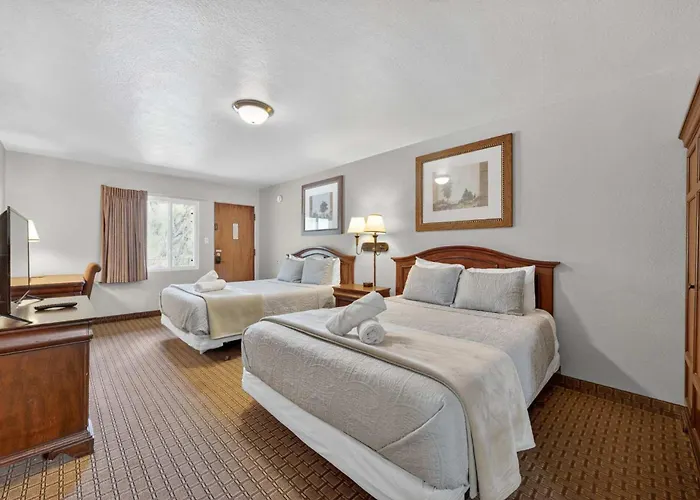 Eagle Motel Suite 117
