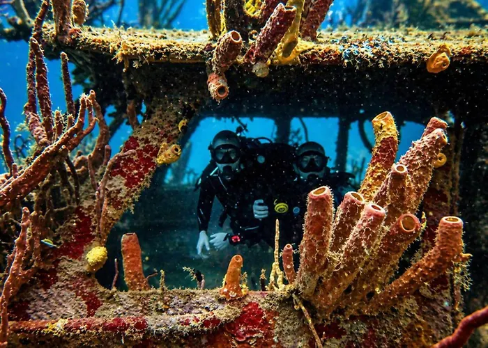 Manta Lodge & Dive Centre