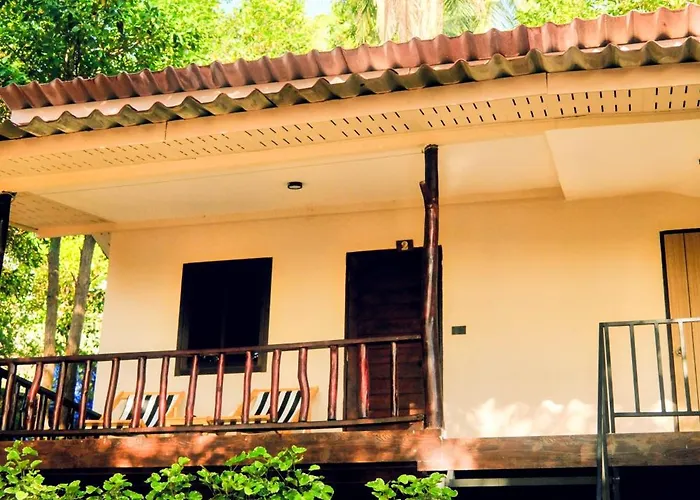 Flow Jungle Residency