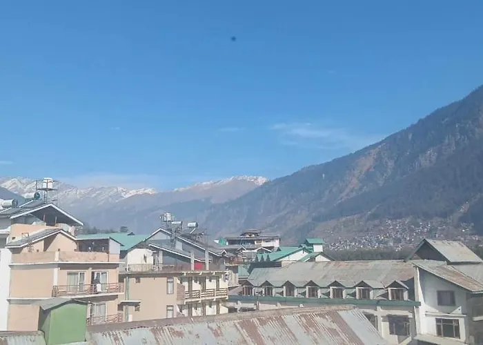 New Daffodil Classic Manali