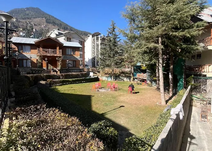 New Daffodil Classic Manali