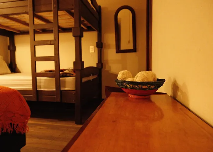 Hotel Pata Y Perro