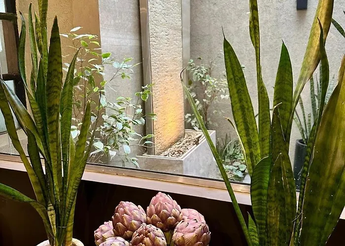 Hotel Republica