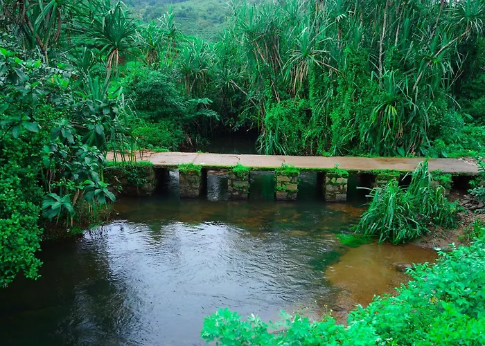River Side