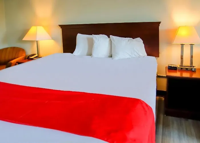 Cypress Inn & Suites Washington By Oyo
