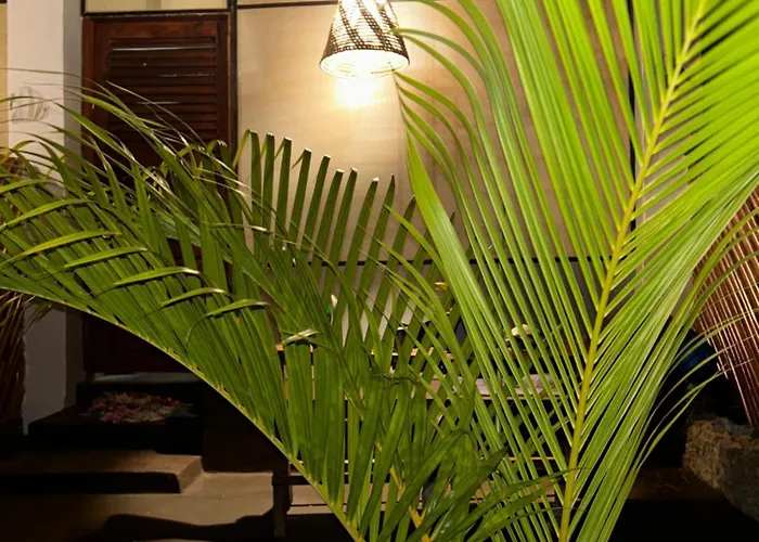 Beach Bungalows&Sea View Villa