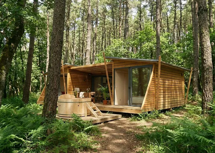 La forêt PALOMA, Ecolodge