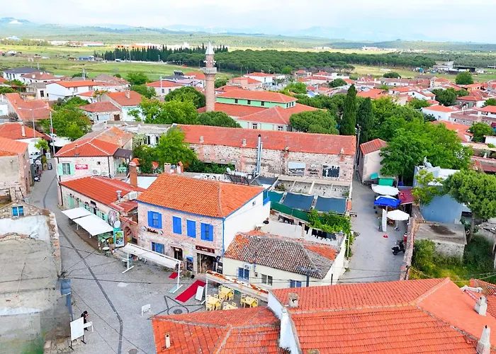 Blue Boz Kuecuekkoey