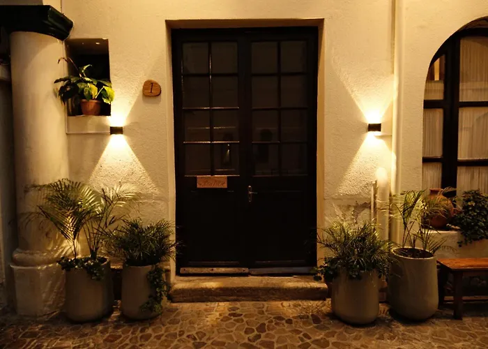 Hotel Pata Y Perro