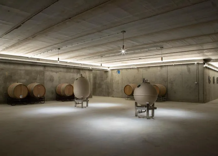 Bodega Discolo
