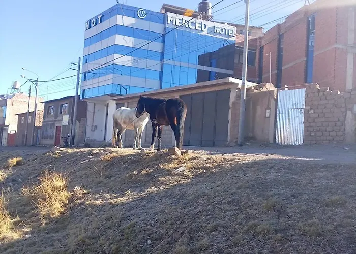 Hotel Merced Macusani