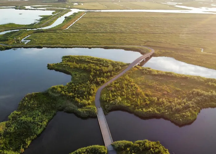 de Brabantse Biesbosch