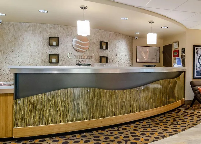 Comfort Inn Raleigh Midtown