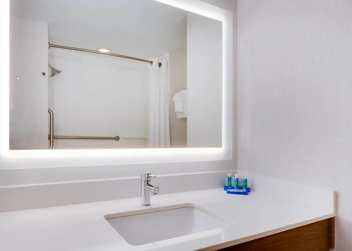 Holiday Inn Express Hotel & Suites Tampa-Fairgrounds-Casino By Ihg Mango