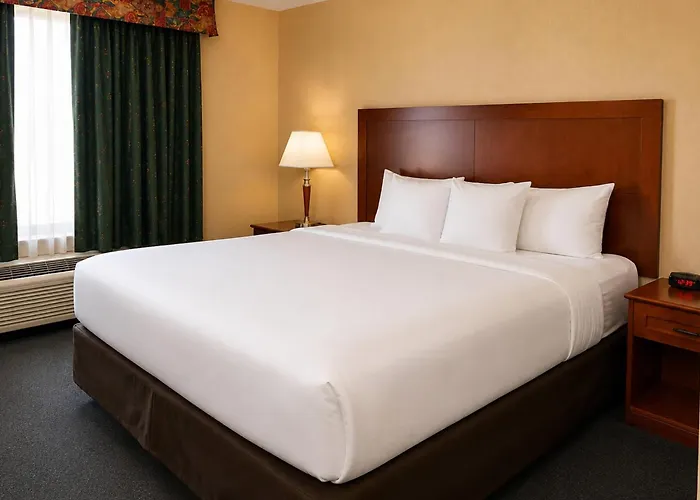Comfort Inn & Suites Ambassador Bridge