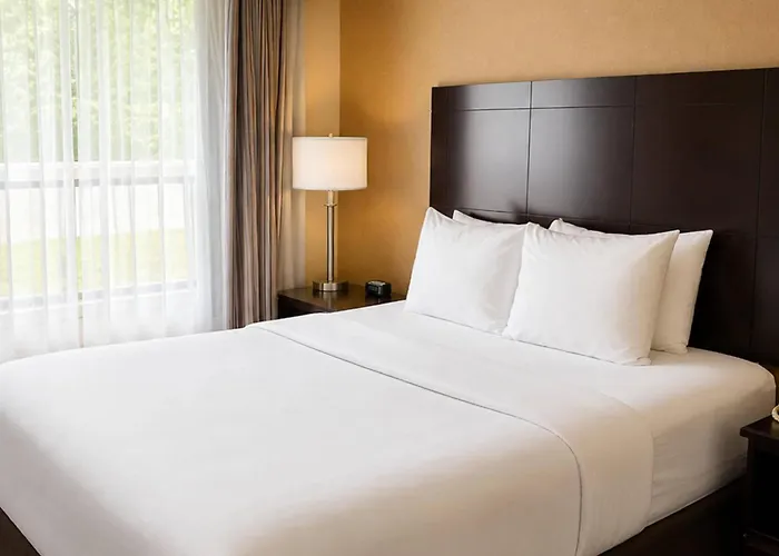 Comfort Inn & Suites Ambassador Bridge