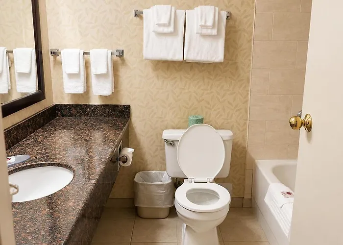 Comfort Inn & Suites Ambassador Bridge