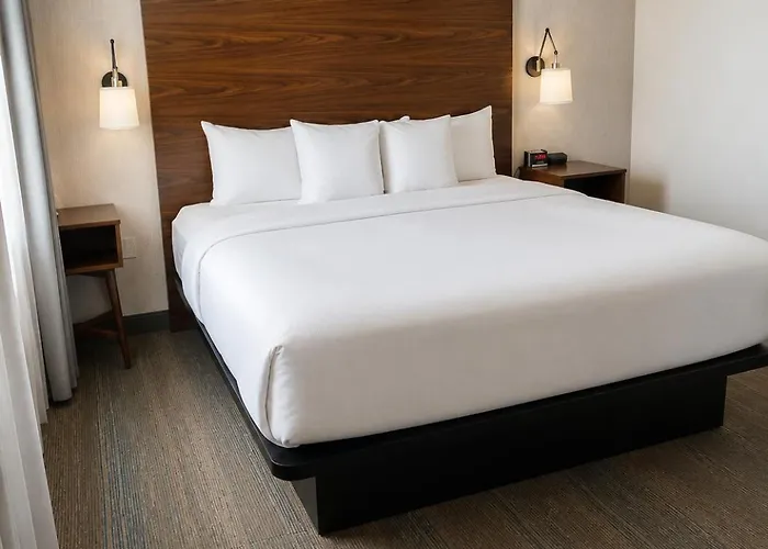 Comfort Inn & Suites Ambassador Bridge