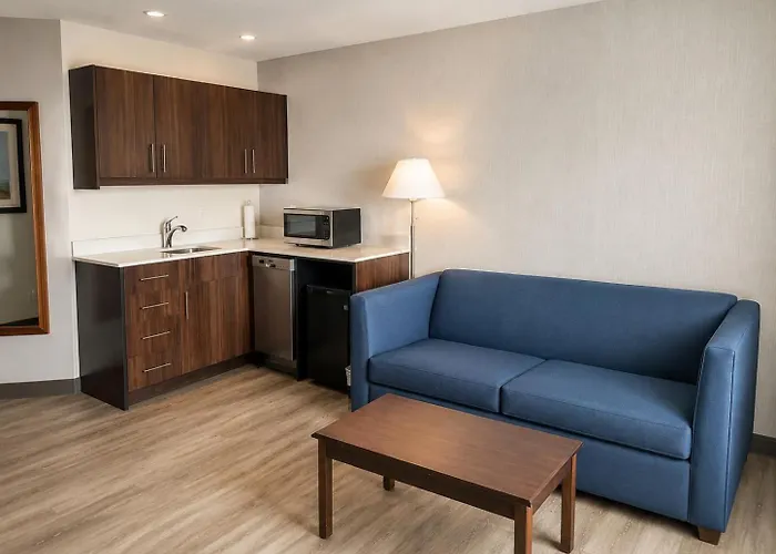 Comfort Inn & Suites Ambassador Bridge