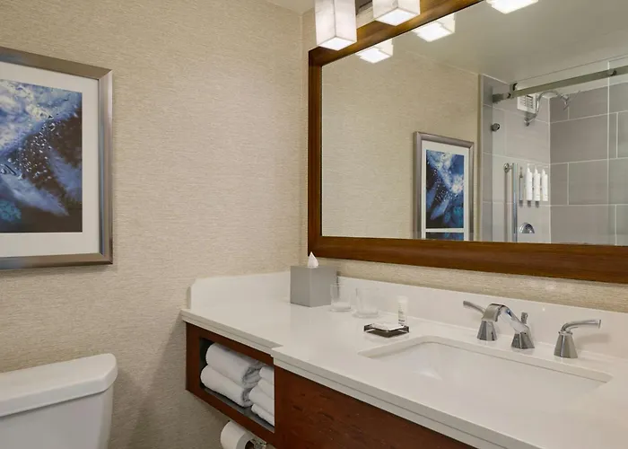 Marriott Chicago O'Hare Hotel Rosemont