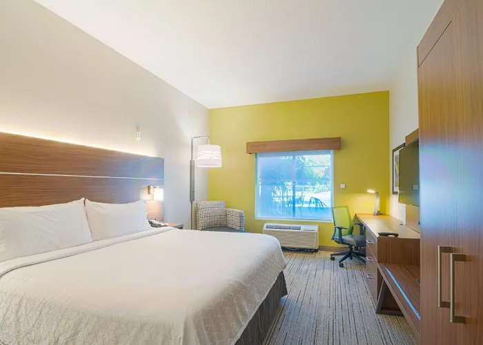 Holiday Inn Express Hotel & Suites Tampa-Usf-Busch Gardens By Ihg