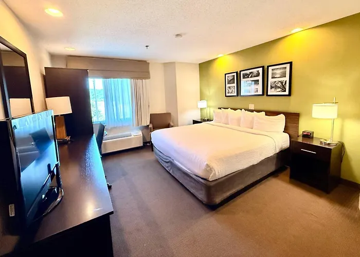 Sleep Inn & Suites Niantic North