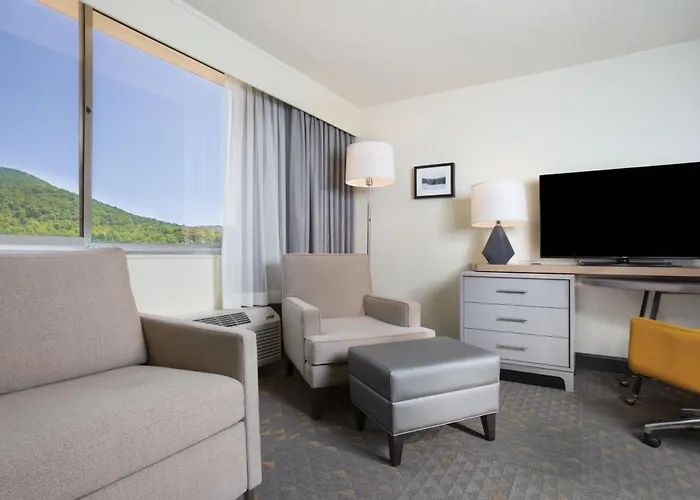 Holiday Inn Asheville East-Blue Ridge Pkwy By Ihg