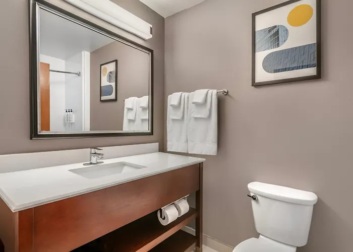 City Express By Marriott Spring North Houston