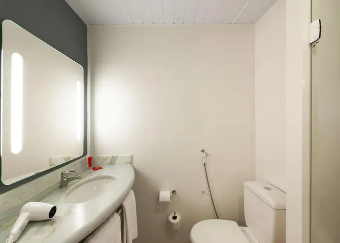 Ibis Sao Carlos