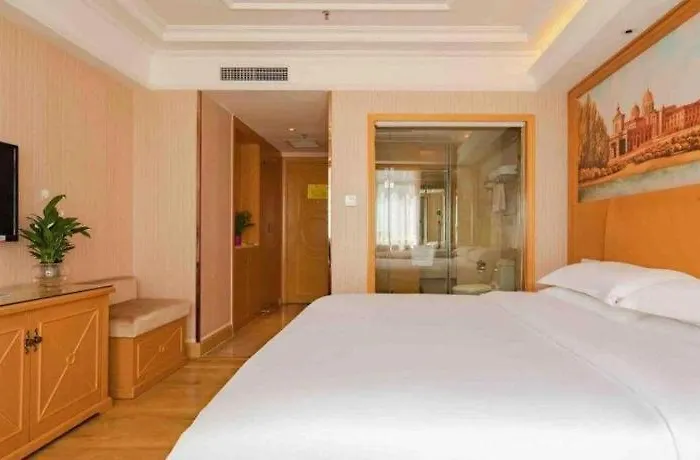 Vienna International Hotel Lhasa Potala Palace