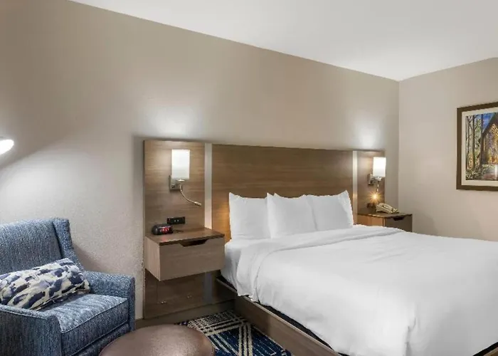 Comfort Inn & Suites Hot Springs Midtown