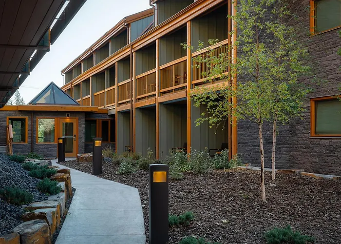 Otter Hotel