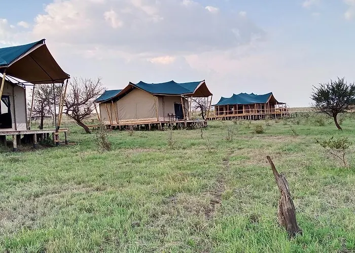Taste Of Serengeti Luxury Safari Camp