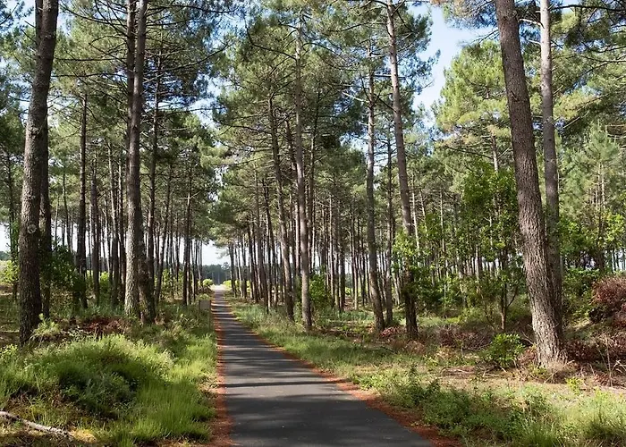 Le Carrefour Des Landes