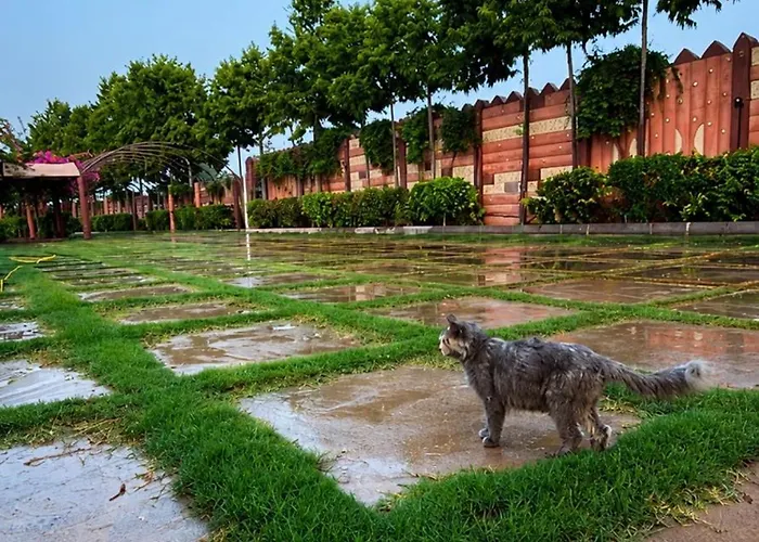 Amaala Resort In Sohar