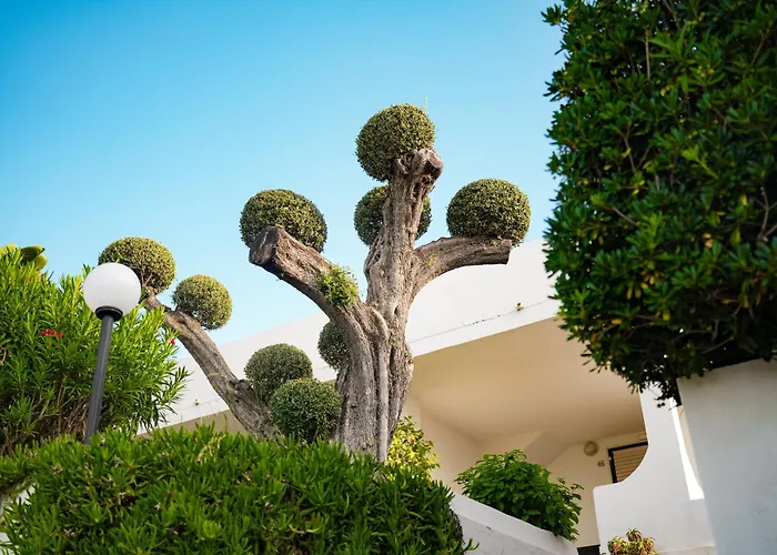 Villaggio Baia D'Ercole Capo Vaticano