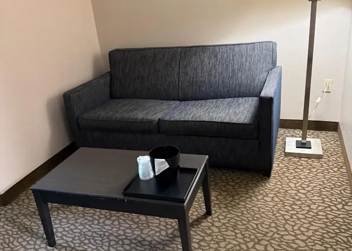 Comfort Inn & Suites Bradenton North I-75