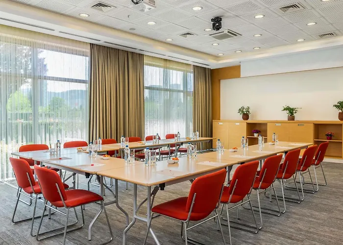 Ibis Bursa