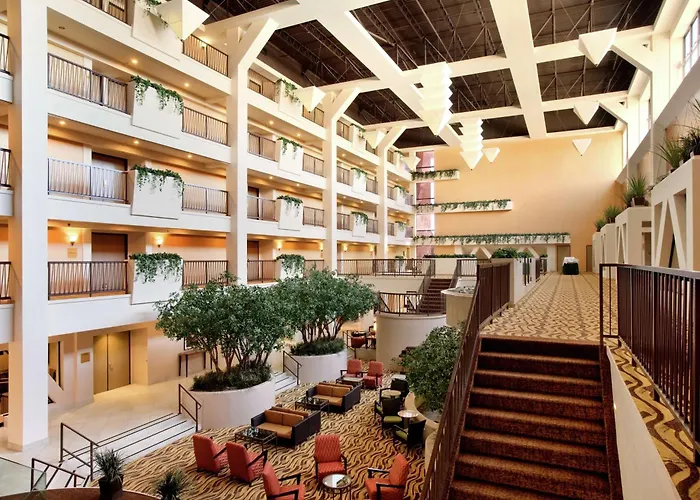 Hilton Stockton