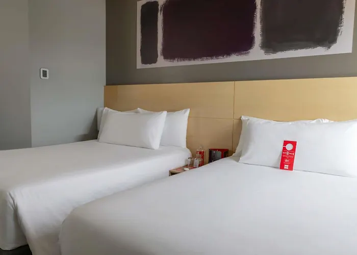 Ibis Chihuahua