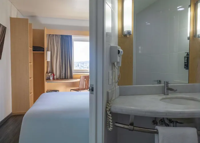 Ibis Chihuahua