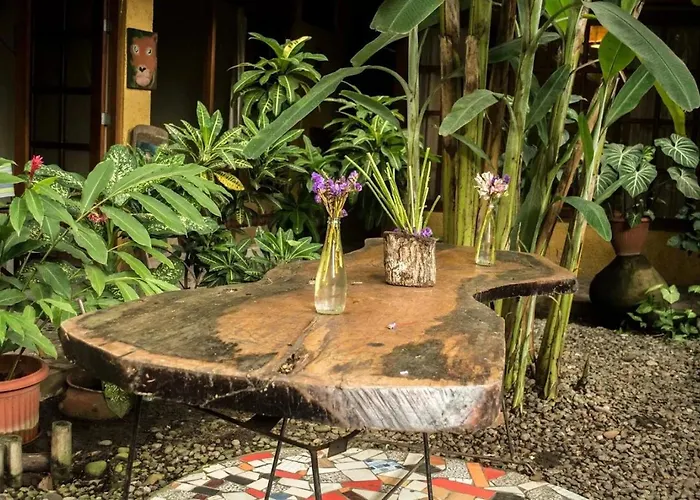 Casa de Palos Boutique