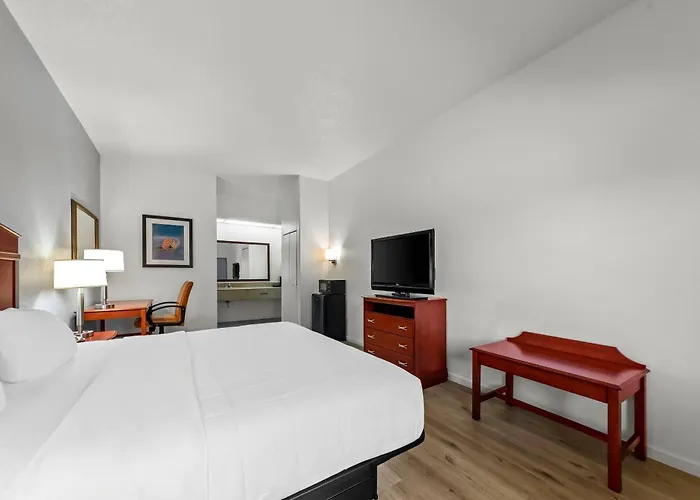 Quality Inn Weeki Wachee - Spring Hill